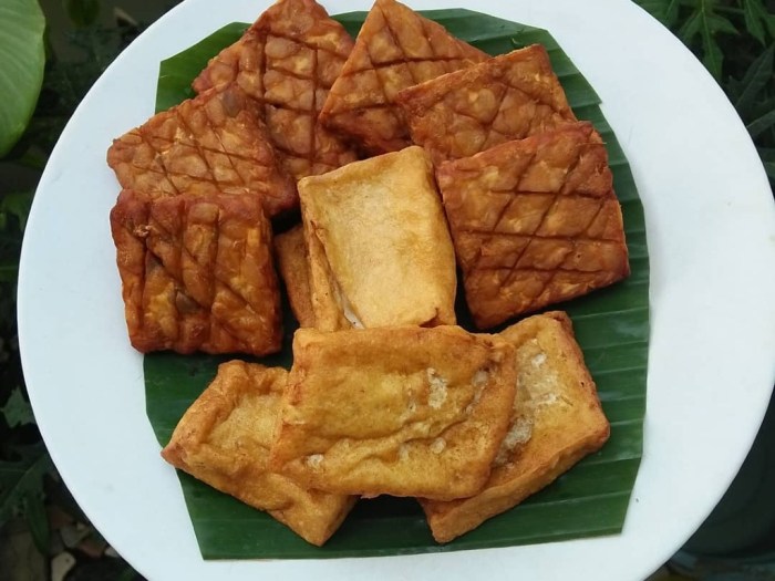 Makanan Sehat dari Tahu dan Tempe