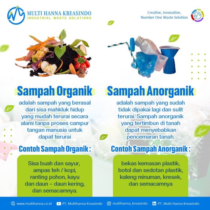 Perbedaan Makanan Sehat dan Organik: Jangan Tertukar
