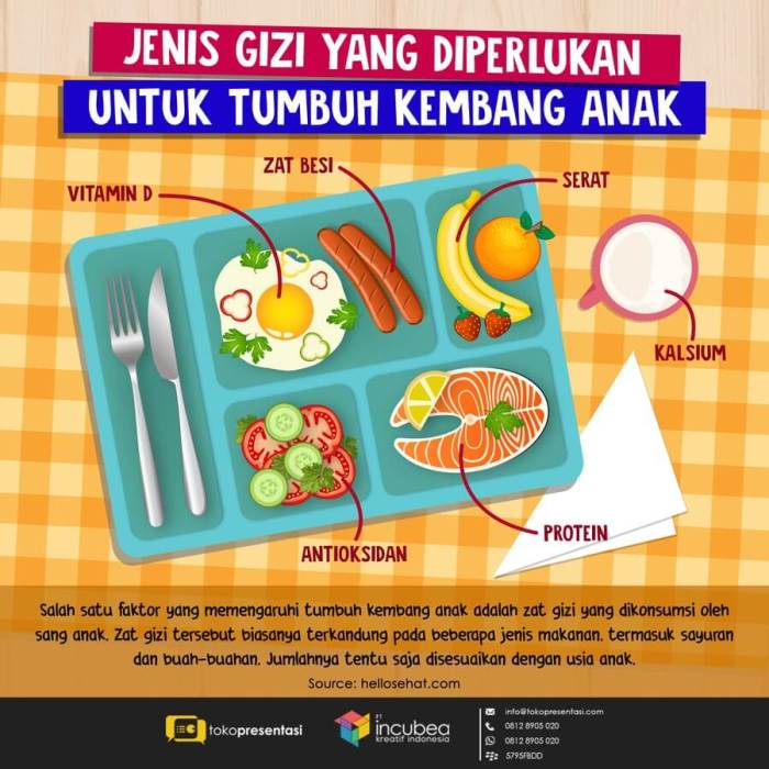 Makanan Bergizi Seimbang untuk Anak Sekolah