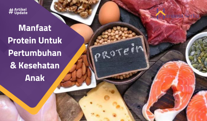 Tinggi makanan nabati manfaatnya groente groenten fruitsnacks favorflav peuters prestasiglobal sekolah Tinggi makanan nabati manfaatnya groente groenten fruitsnacks favorflav peuters prestasiglobal sekolah