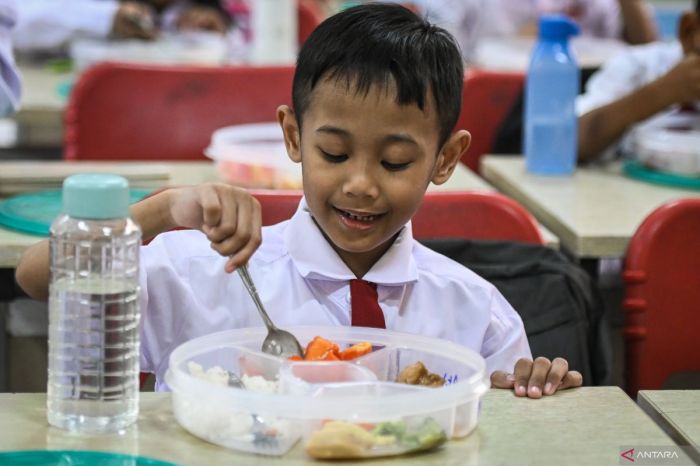 Bekal sehat sekolah inspirasi simpel semangat mou