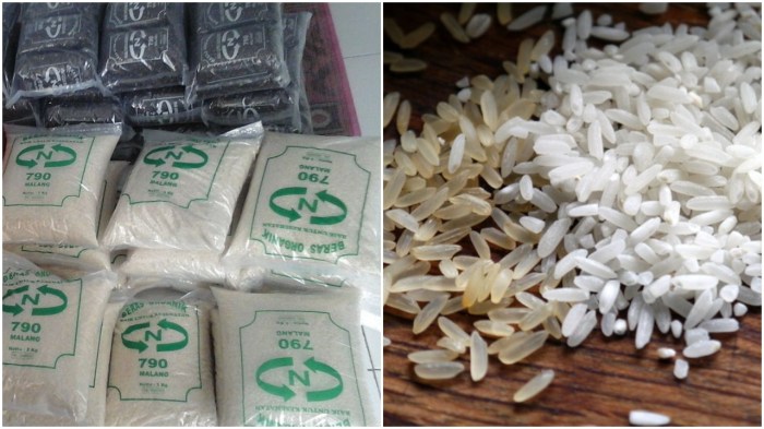 Perbedaan Makanan Sehat dan Organik: Jangan Tertukar