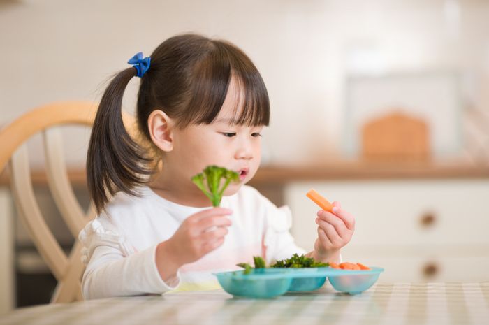 Makanan Sehat untuk Anak yang Sulit Makan Sayur