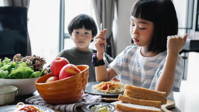 Cemilan Sehat untuk Anak Sekolah yang Tahan Lama
