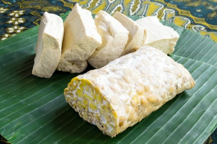 5 Snack Sederhana dari Tahu dan Tempe yang Disukai Anak