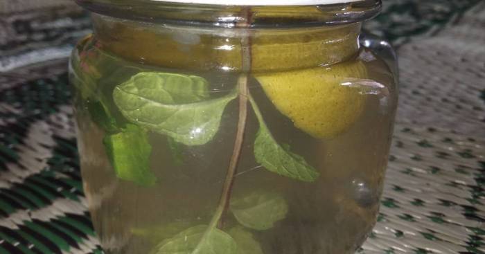 Infused Water Jeruk Nipis dan Daun Mint