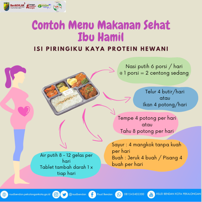 Info Makanan Sehat untuk Ibu Hamil